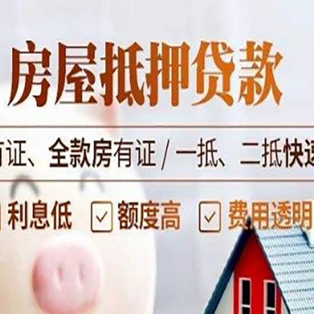 定远贷款中介公司新渝启服要的资料