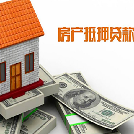 定远贷款公司新渝启服怎么选择