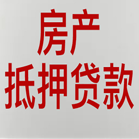 定远贷款公司新渝启服推荐选择